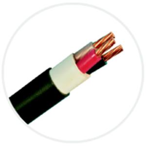 600V XLPE絕緣PVC被覆電力電纜(CV) , 伸泰國際股份有限公司