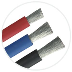 海巴龍 , 伸泰國際股份有限公司