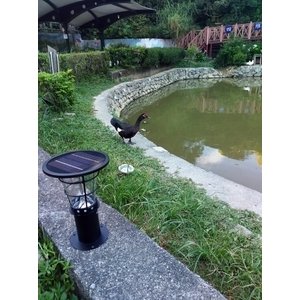 太陽能景觀燈（高度38公分）AG-880026,驊灃企業有限公司