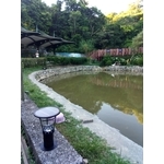 太陽能景觀燈（高度38公分）AG-880026 , 驊灃企業有限公司