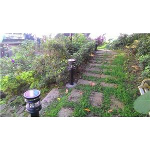 太陽能地底燈 在 北市文山區1