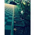 台北市文山區太陽能地底燈工程-驊灃企業有限公司