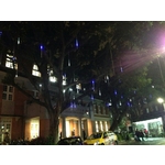 士林公民會館元宵節榕樹藍白燈條裝飾01 - 驊灃企業有限公司