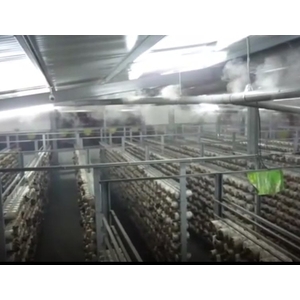 超音波造霧,上億國際資源開發有限公司