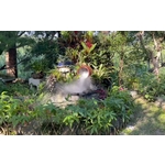 超音波造霧機 應用於各行各業