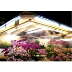 多功能微霧降溫系統 - 上億國際資源開發有限公司