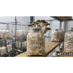 杏鮑菇太空包酵母萃取物 , 阿丹馬克股份有限公司