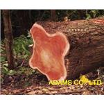 桃花心木 , 阿丹馬克股份有限公司