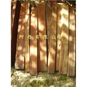 桃花心木 , 阿丹馬克股份有限公司