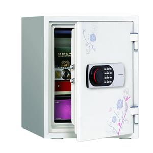 韓國電子保險箱 , 泰登國際股份有限公司