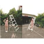 1555414_680804435371673_7694502010692508796_n - 鴻陞五金材料行