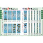 鍛造門 , 錫哥五金有限公司