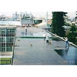 工程20364 - 明欣防水工程行