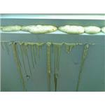 工程20384 - 明欣防水工程行