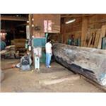 原木加工 - 永順木材行