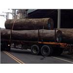 原木 - 永順木材行