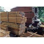 原木加工 - 永順木材行