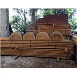 原木加工 - 永順木材行