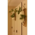 衛浴改建 - 普心企劃工程股份有限公司