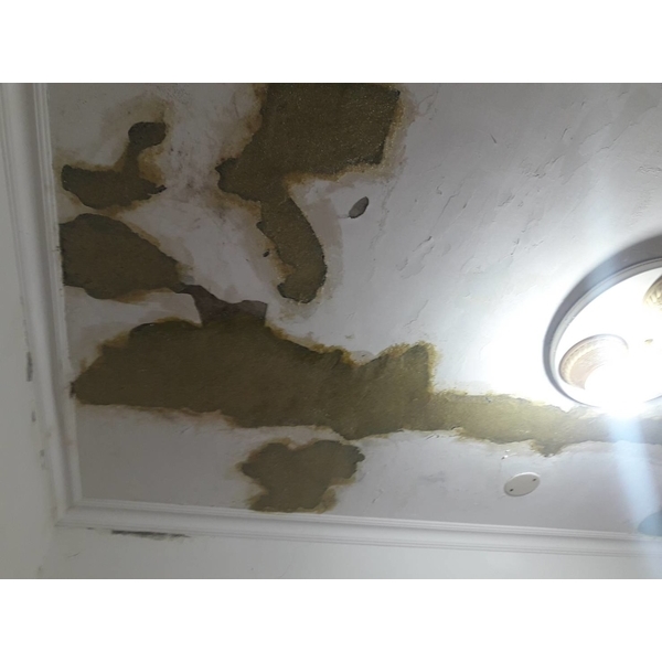 鋼筋外露，epoxy 樹脂砂漿批覆補強-傑士企業有限公司