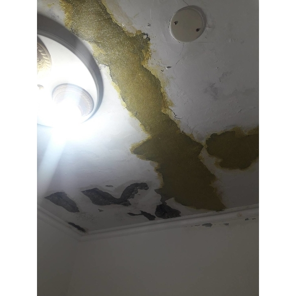 鋼筋外露，epoxy 樹脂砂漿批覆補強-傑士企業有限公司