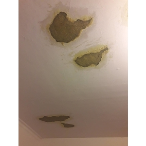 鋼筋外露，epoxy 樹脂砂漿批覆補強