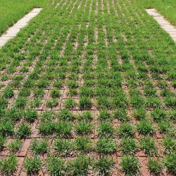 停車場綠地施工,大地瓦企業有限公司