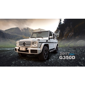 2017年式 Mercedes-Benz G-Class G350d , 讚星有限公司