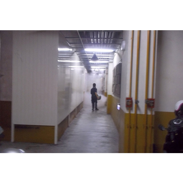 跳蚤防治,新頂企業有限公司