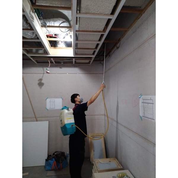 蛀蟲預防-新頂企業有限公司