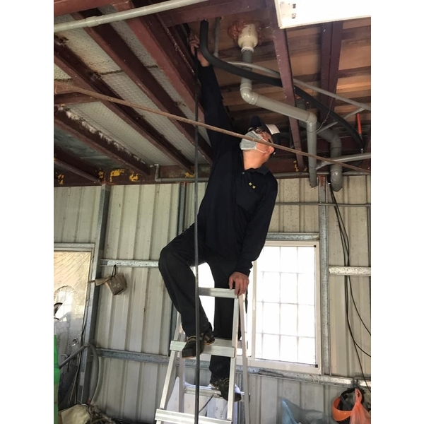 乾木白蟻防治-新頂企業有限公司