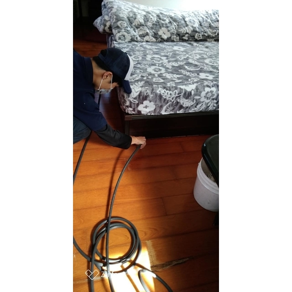 乾木白蟻防治-新頂企業有限公司