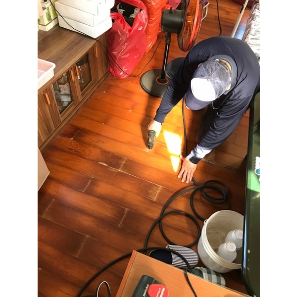 乾木白蟻防治,新頂企業有限公司