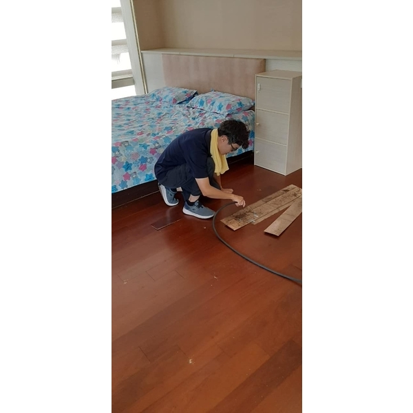 住辦1-3樓白蟻防治-新頂企業有限公司