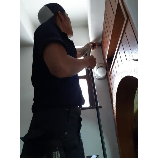 住辦1-3樓白蟻防治