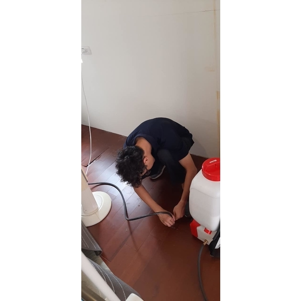 住辦1-3樓白蟻防治
