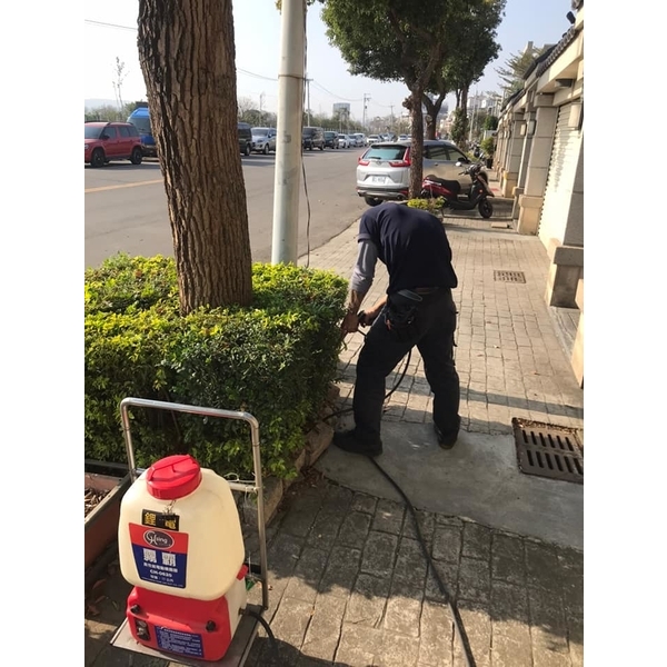 除白蟻-新頂企業有限公司