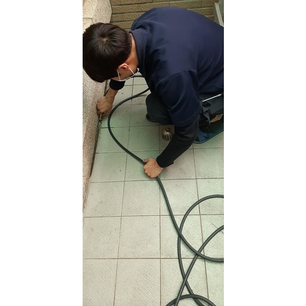 除白蟻-新頂企業有限公司