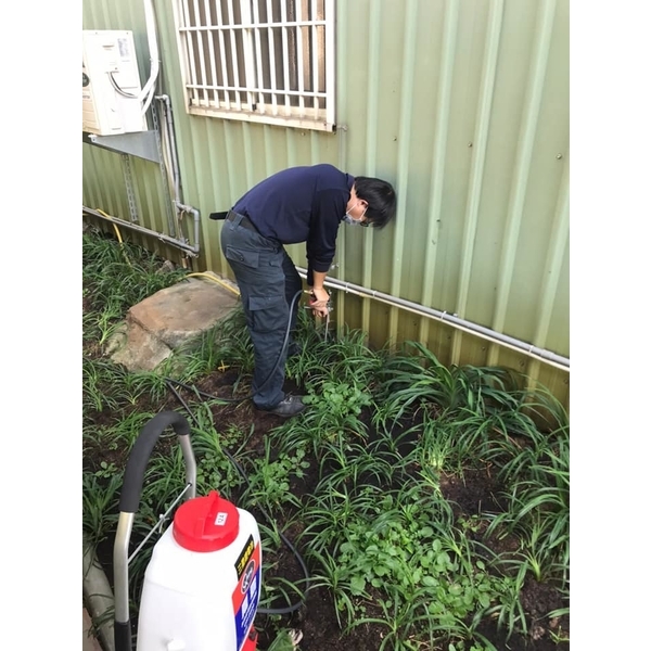倉儲白蟻防治-新頂企業有限公司