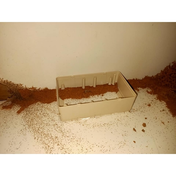 白蟻餌劑防治,新頂企業有限公司