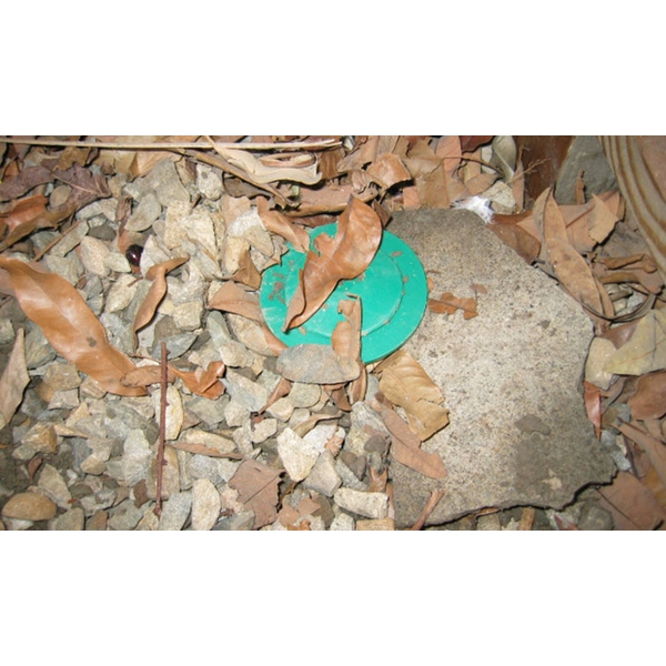 白蟻防治(白蟻誘引盒)-新頂企業有限公司