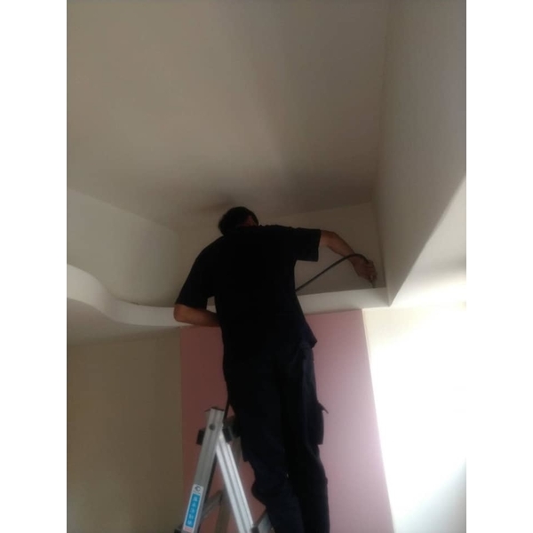 截頭堆沙白蟻防治（乾木白蟻）-新頂企業有限公司