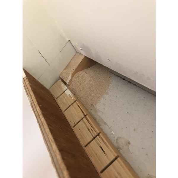 截頭堆沙白蟻防治（乾木白蟻）-新頂企業有限公司