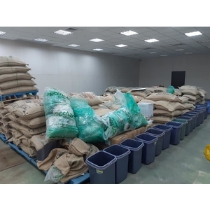 咖啡生豆燻蒸除蟲作業