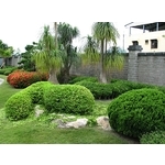 景觀工程設計 - 綠崧企業有限公司