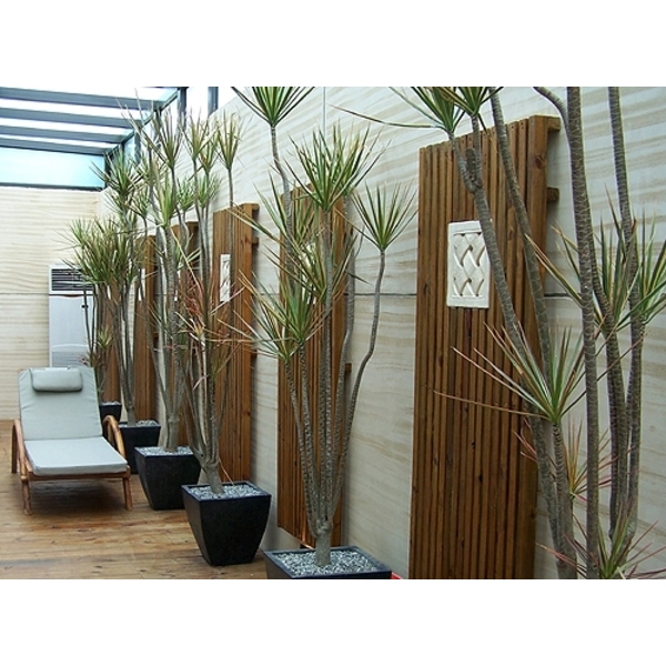 景觀工程設計,綠崧企業有限公司