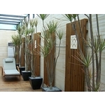 景觀工程設計 - 綠崧企業有限公司