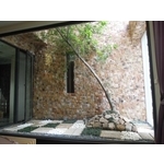 景觀工程設計 - 綠崧企業有限公司