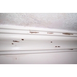 除白蟻-天花板邊條 - 保固除蟲消毒有限公司