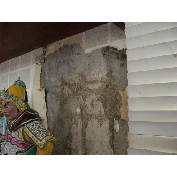 除白蟻-水泥牆壁紙